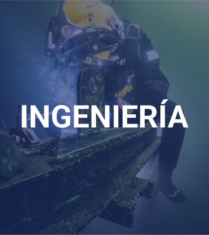 servicios ingenieria especializada