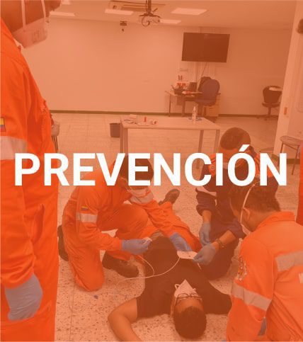 servicios prevencion asesorias