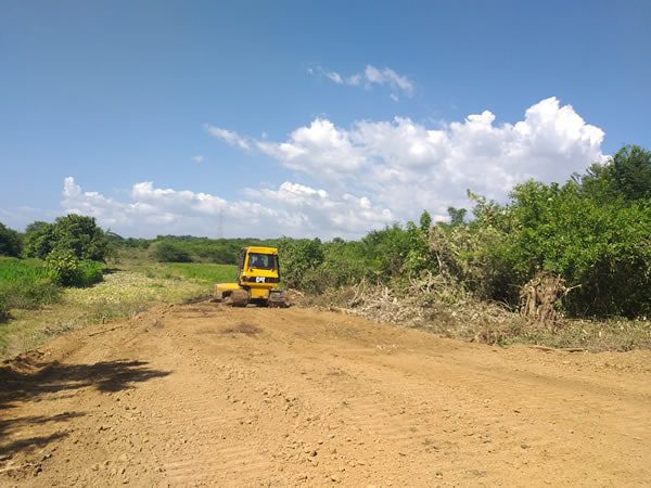 arqueologia ejecucion de proyectos cse tierra