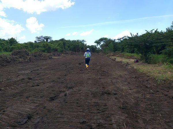 arqueologia preventiva cse adecuacion terreno