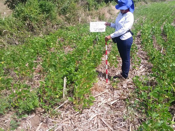 arqueologia preventiva cse terreno-estudio previo